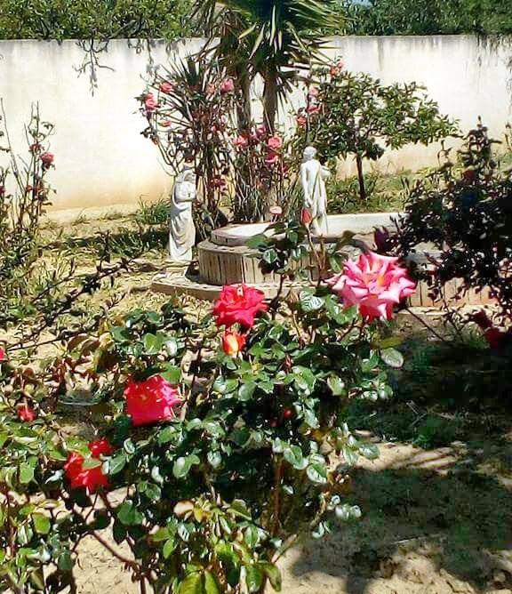 Villa Rosa Maria Villaggio Mosè Esterno foto
